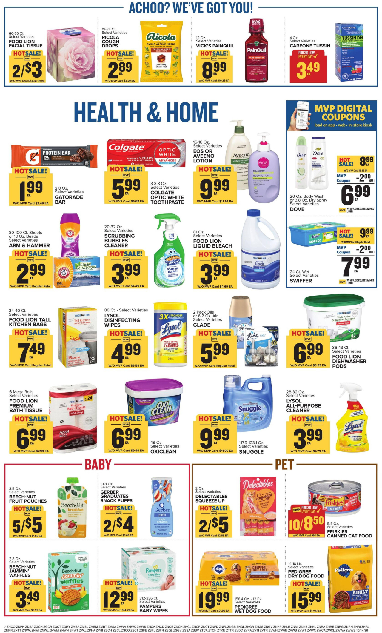 Food Lion Flyer