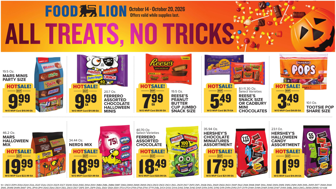 Food Lion Flyer