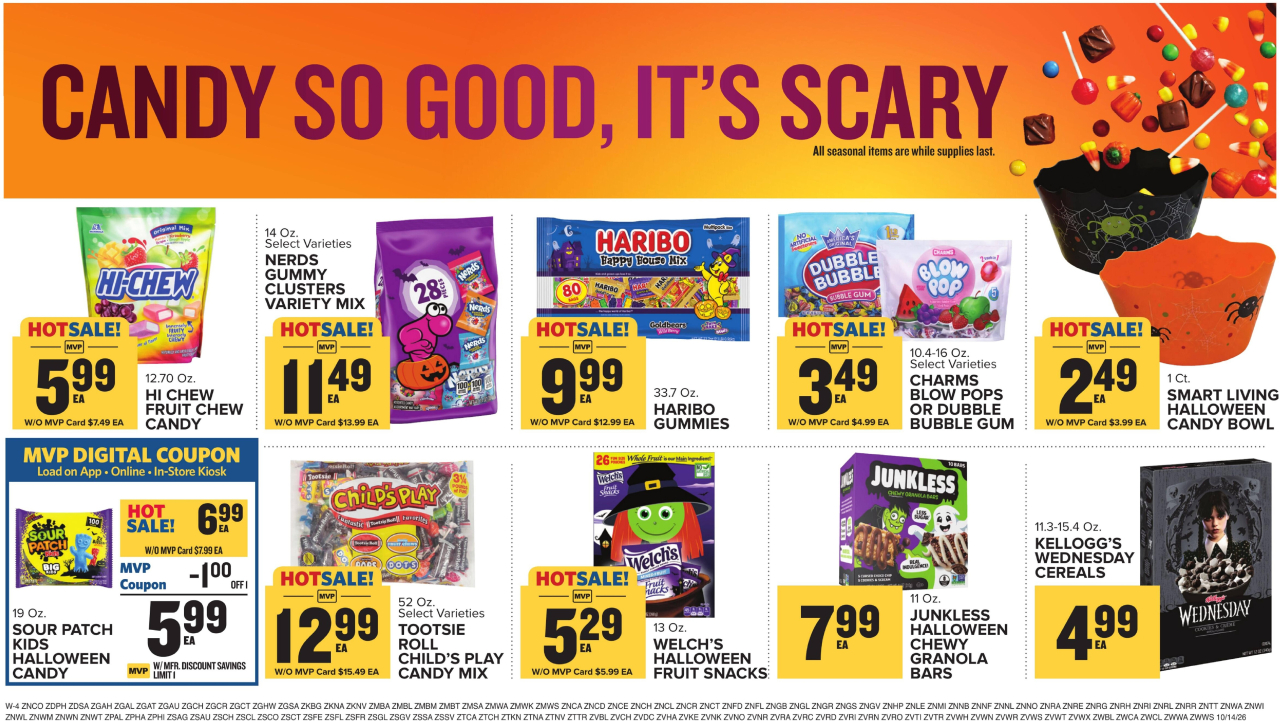 Food Lion Flyer