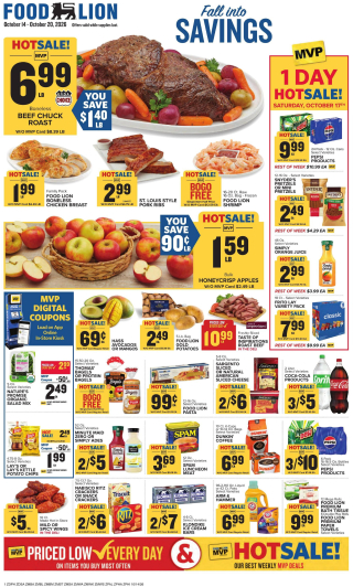Food Lion Flyer