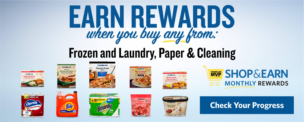 Food Lion Flyer