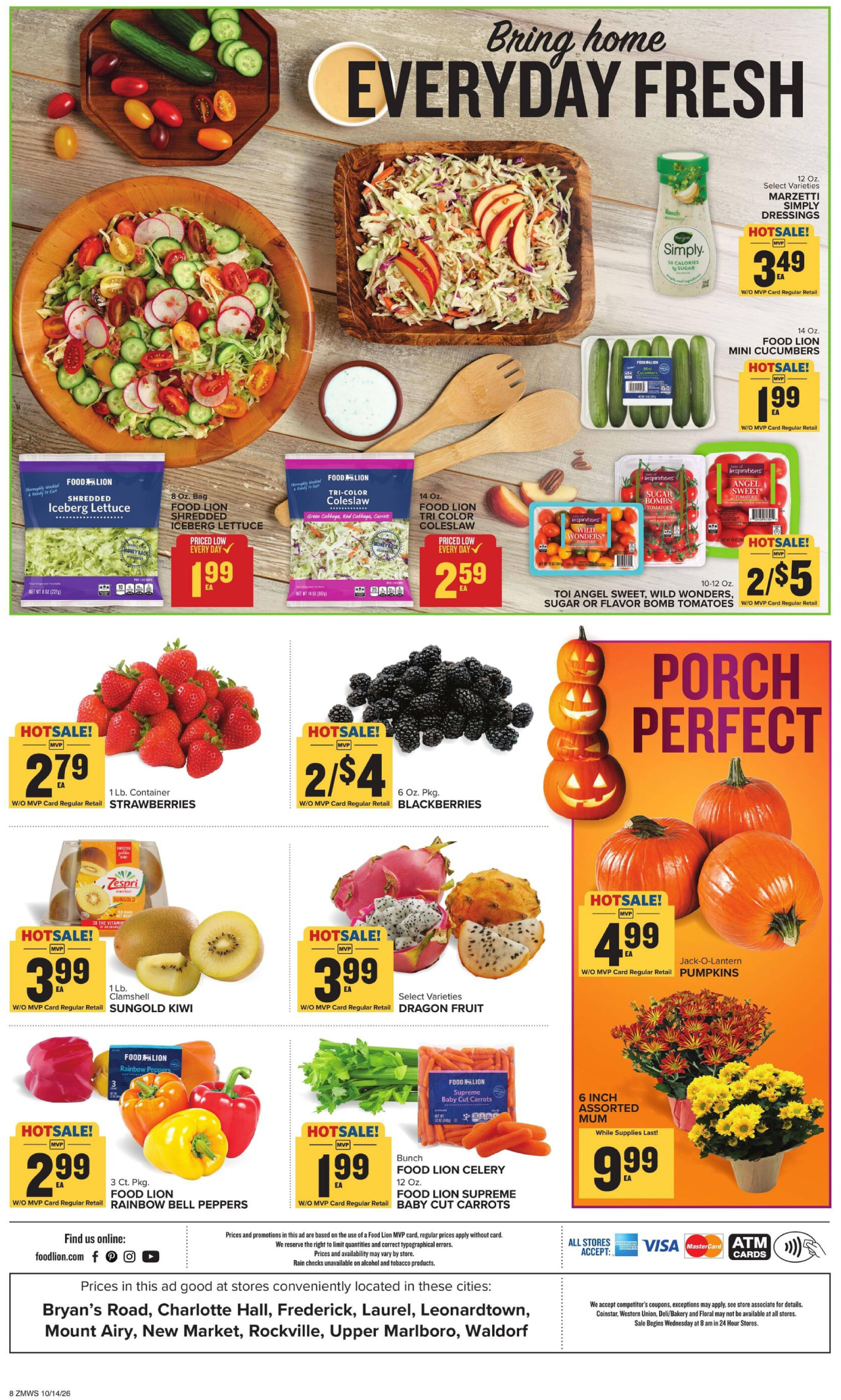 Food Lion Flyer