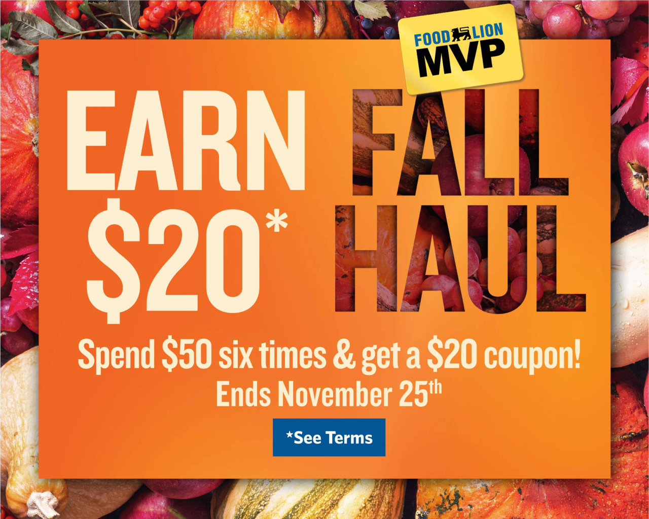 Food Lion Flyer