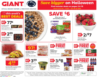 GIANT Flyer
