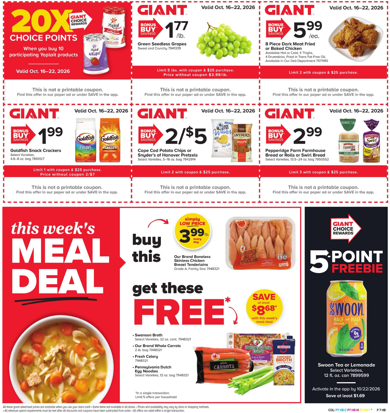 GIANT Flyer