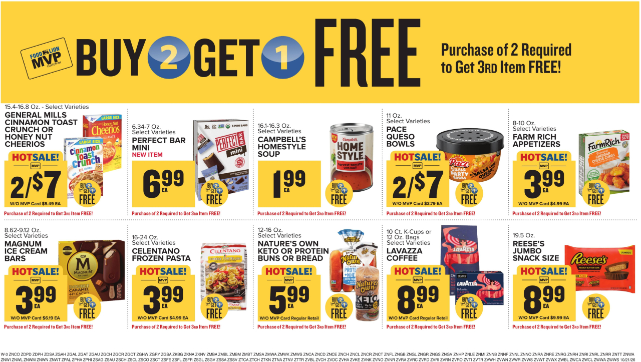 Food Lion Flyer