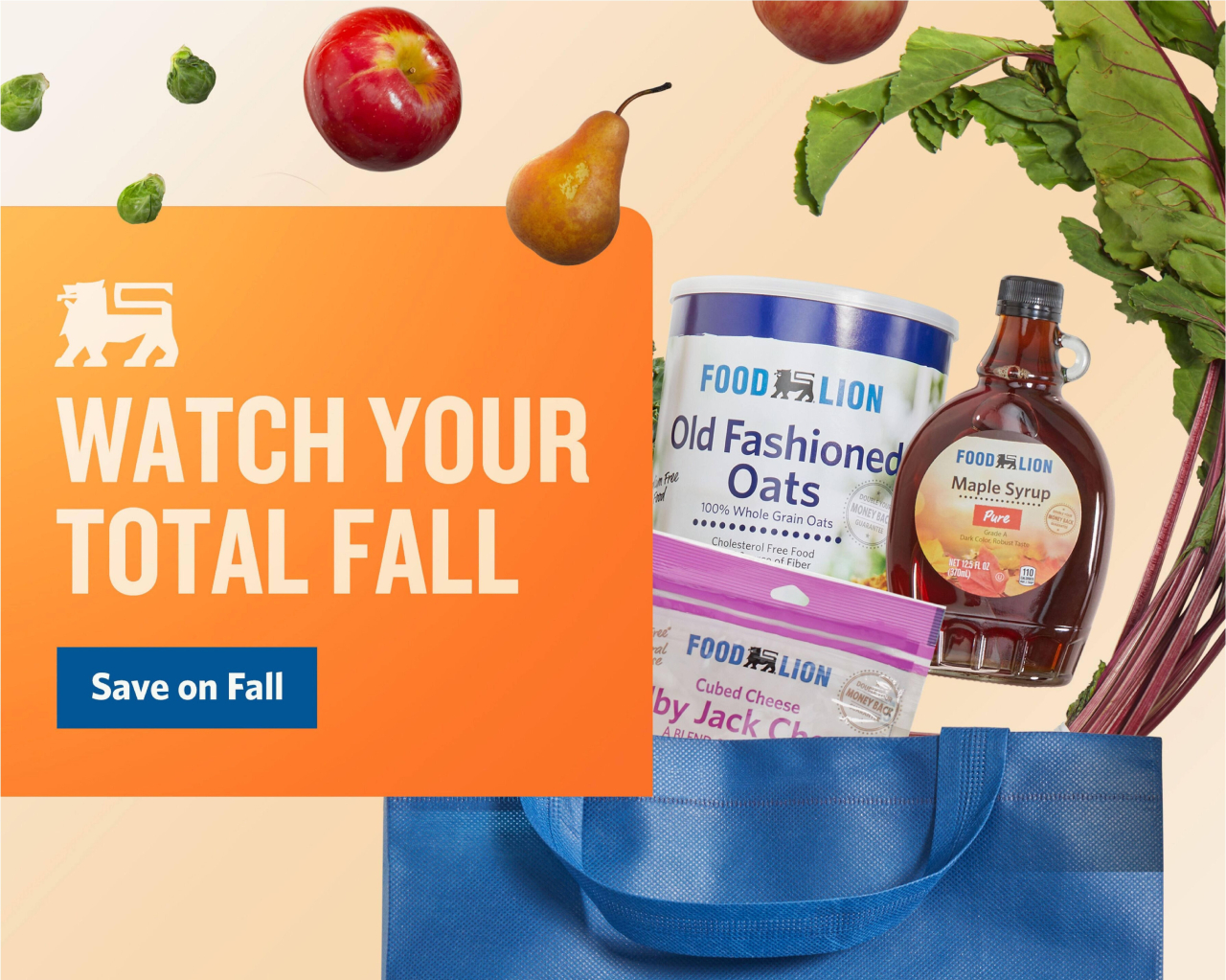 Food Lion Flyer
