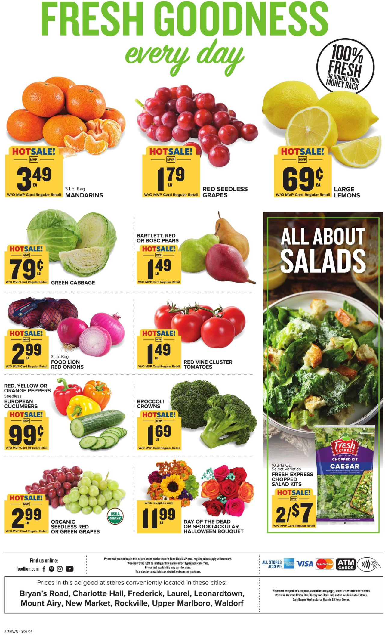 Food Lion Flyer