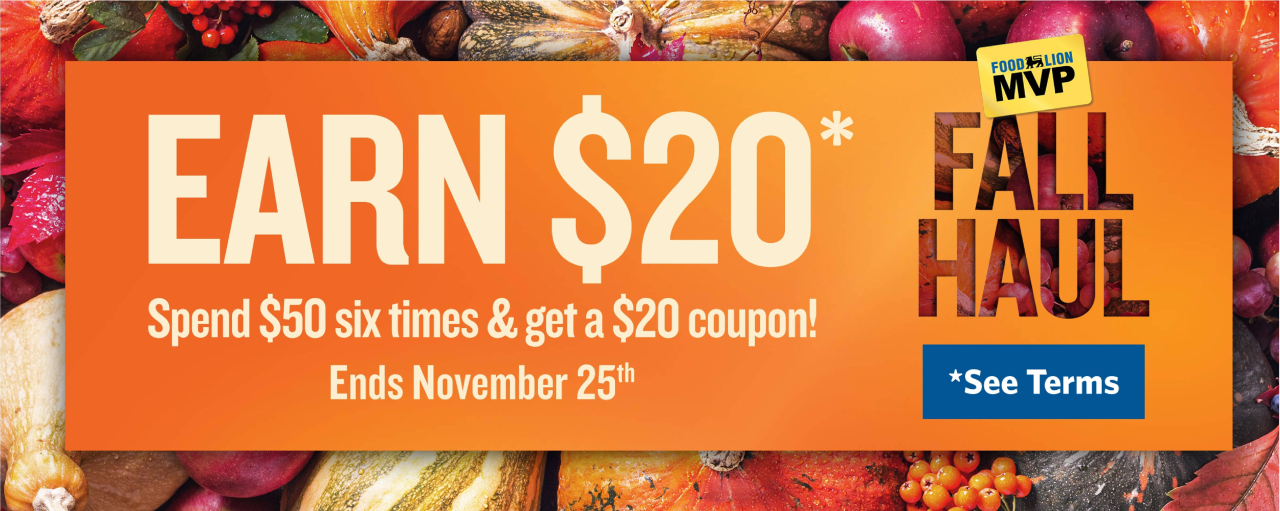 Food Lion Flyer