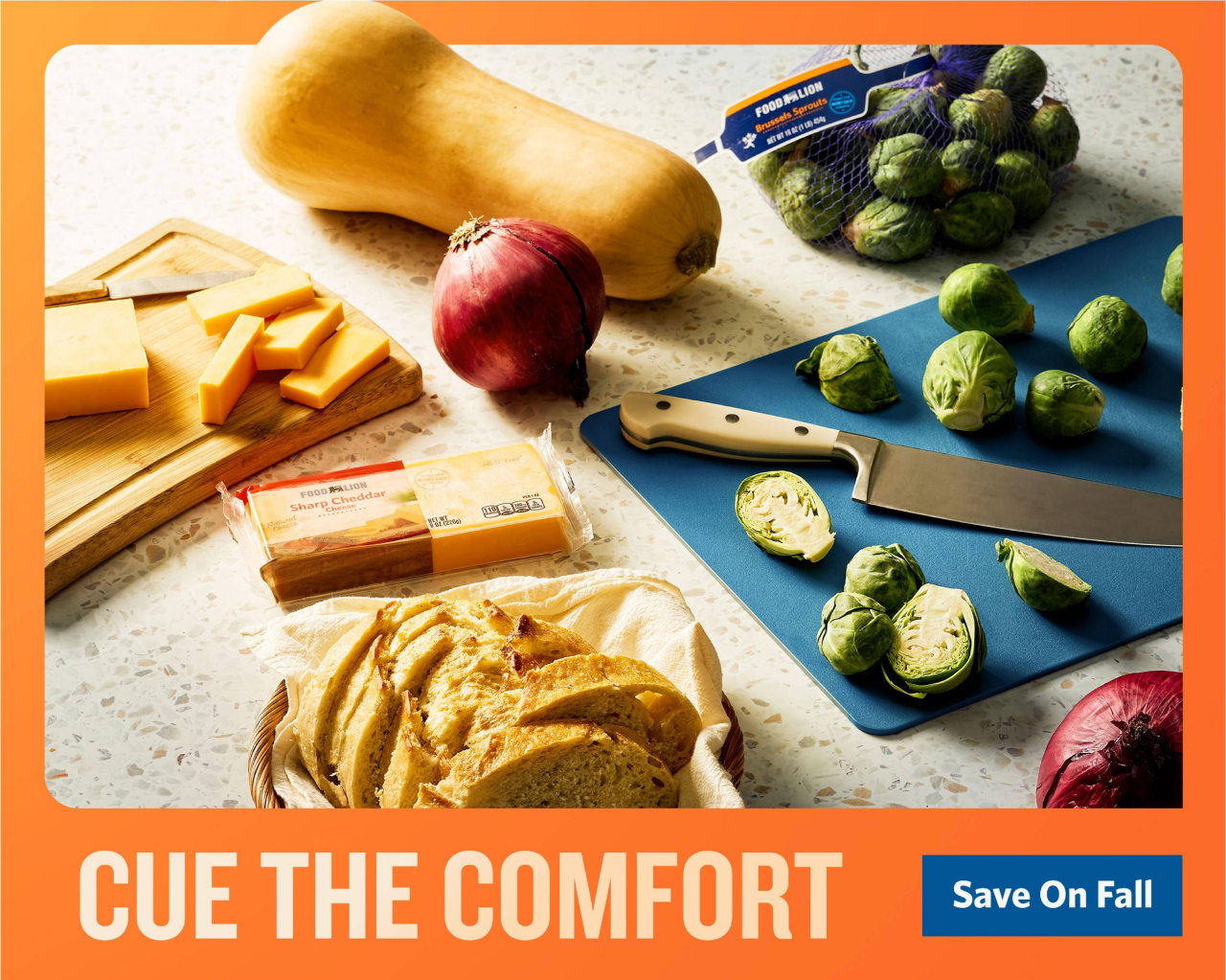 Food Lion Flyer