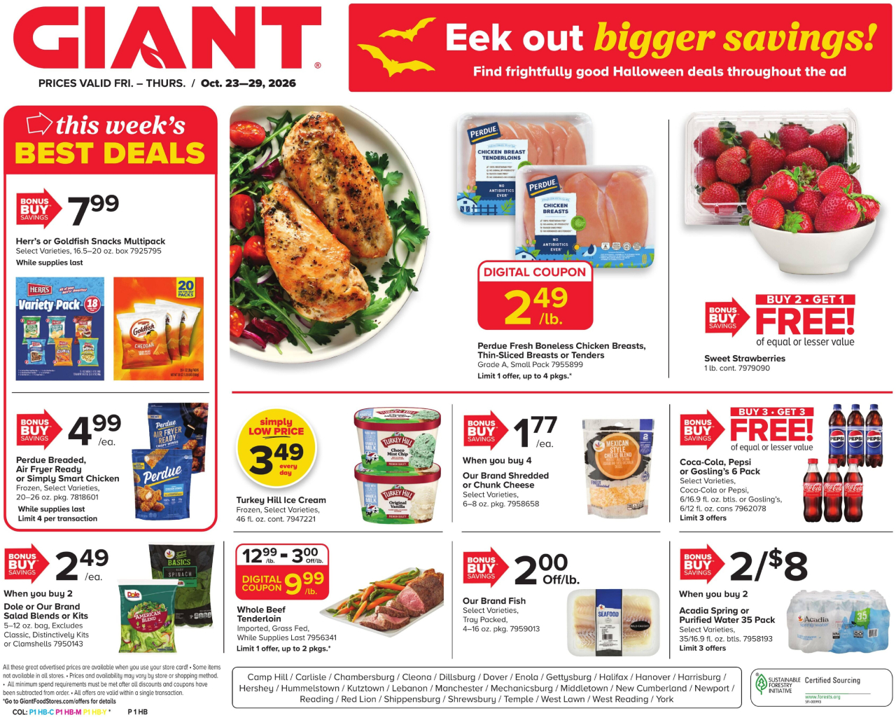 GIANT Flyer