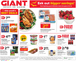 GIANT Flyer