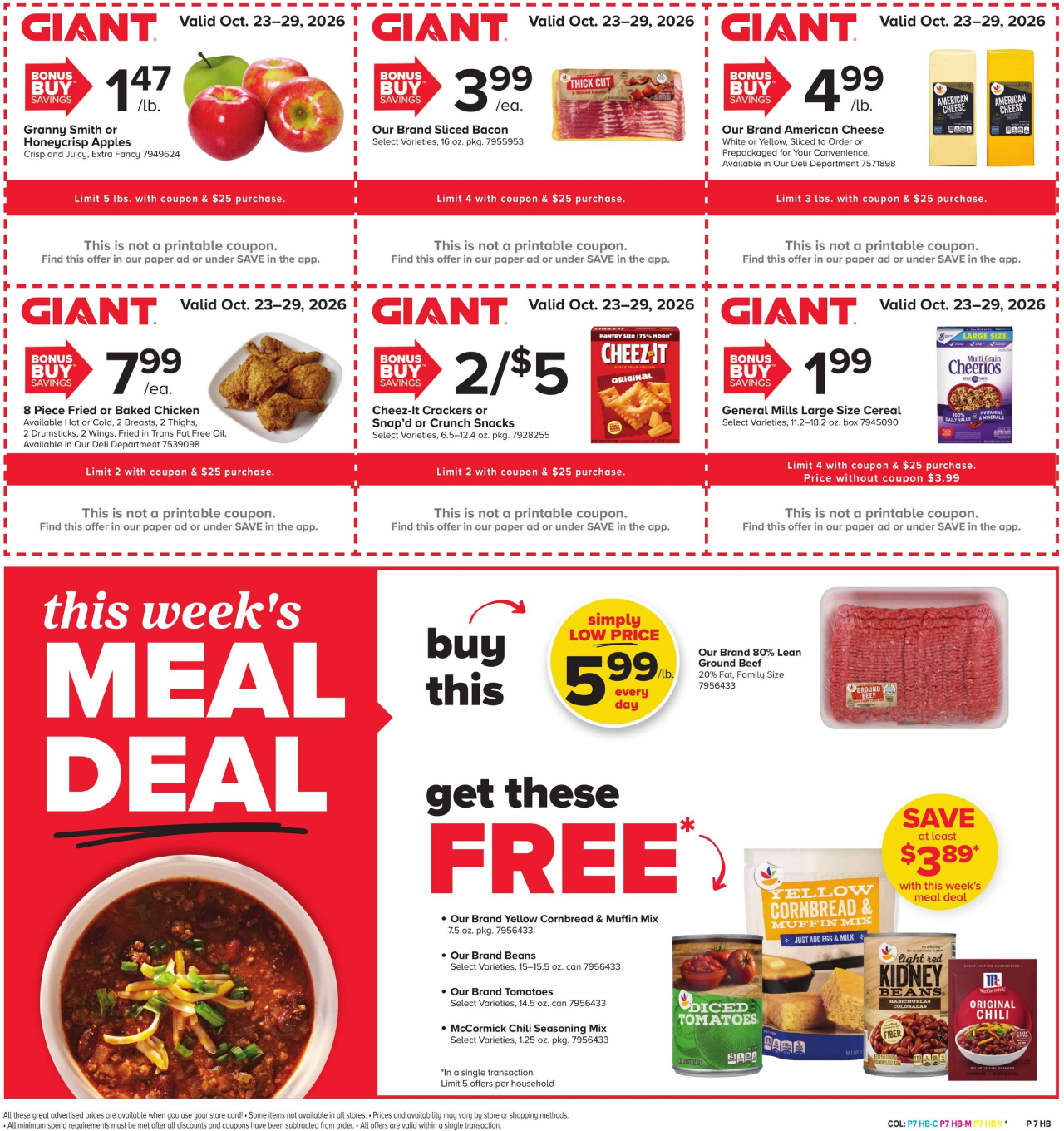GIANT Flyer